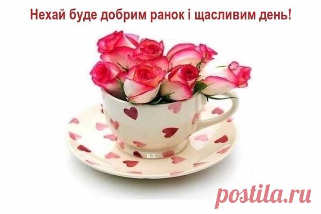 image (775×517)