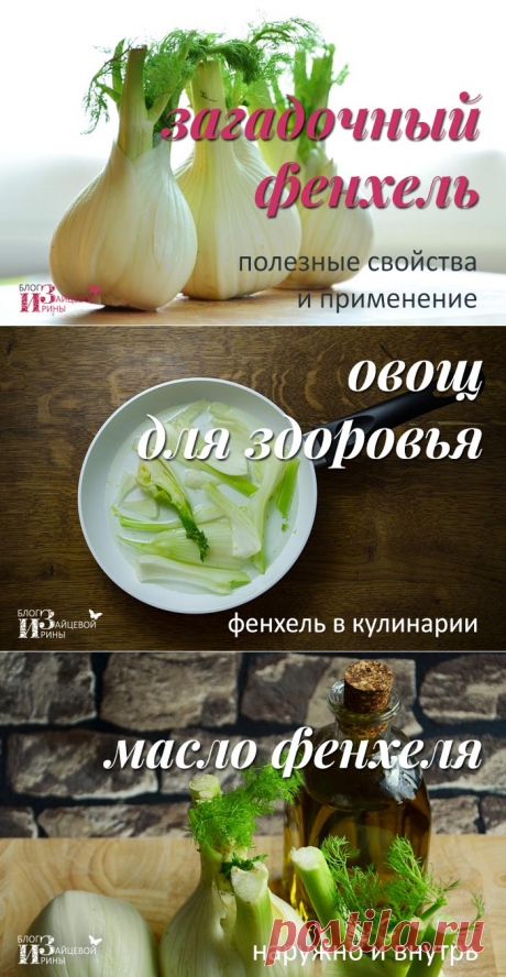Фенхель. Свойства, применение. Чай с фенхелем | Блог Ирины Зайцевой