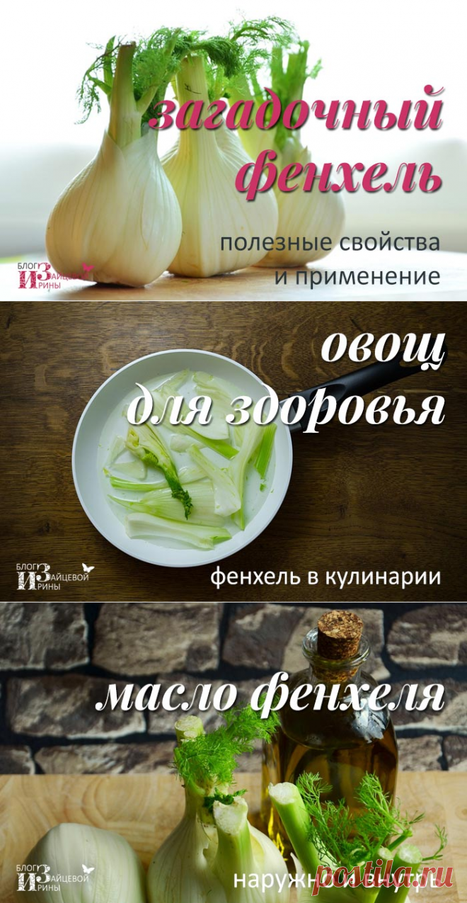 Фенхель. Свойства, применение. Чай с фенхелем | Блог Ирины Зайцевой