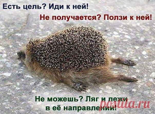 Лучше и не скажешь...........