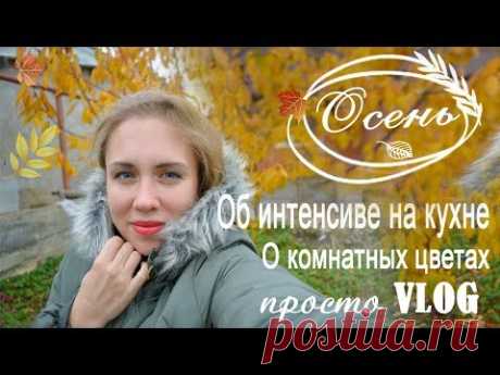 VLOG: ✔УЧАСТИЕ В ЧИСТОЙ КУХНЕ | КУПИЛИ СВИНЬЮ 🐷 УЛИЧНЫЕ ЦВЕТЫ В ДОМЕ 🍀 УКОРЕНЯЮ РОЗЫ 🌹БЕЛЯШИ