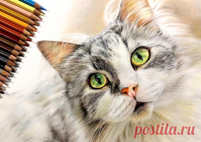Японская художница рисует гиперреалистичные портреты кошек Произведения 18-летней Юки Кудо бьют рекорды популярности в социальных сетях. Гиперреалистичные портреты кошек набирают тысячи перепостов.