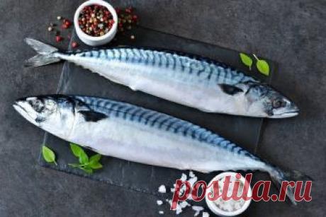 Как готовить скумбрию: вкусные рецепты на каждый день Скумбрия – особая рыба. Эта морская аристократка станет гордостью любого стола. Вкусные рецепты приготовления скумбрии: в чем секрет?
