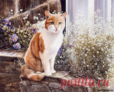 Симпатичные животные от художника Shirley Deaville. » Мир Развлечений на AltFast