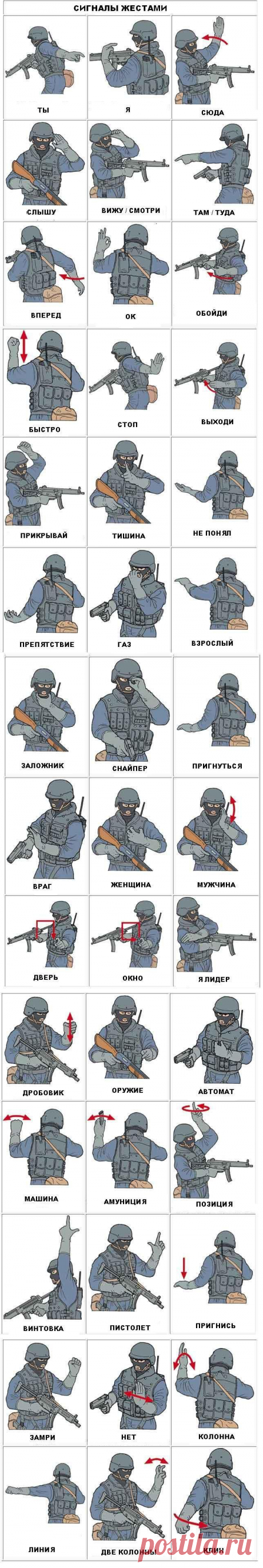 Airsoftclub.ru страйкбол :: тактика :: условные сигналы жестами