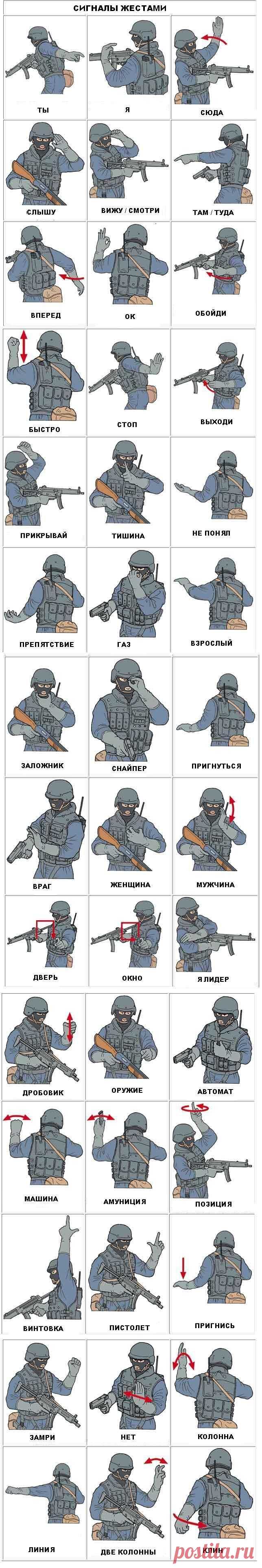 Airsoftclub.ru страйкбол :: тактика :: условные сигналы жестами