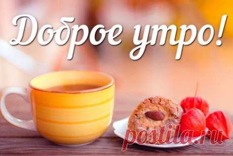 Открытки и картинки «Доброе утро!» - красивые, нежные и прикольные Большая галерея открыток и картинок «Доброе утро» - мужчине, женщине, самые красивые, нежные или с прикольными пожеланиями!