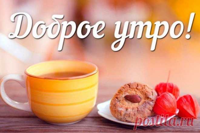 Открытки и картинки «Доброе утро!» - красивые, нежные и прикольные Большая галерея открыток и картинок «Доброе утро» - мужчине, женщине, самые красивые, нежные или с прикольными пожеланиями!