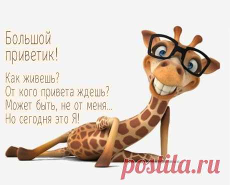 Большой привет!