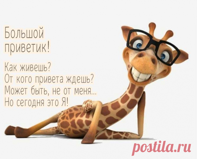 Большой привет!