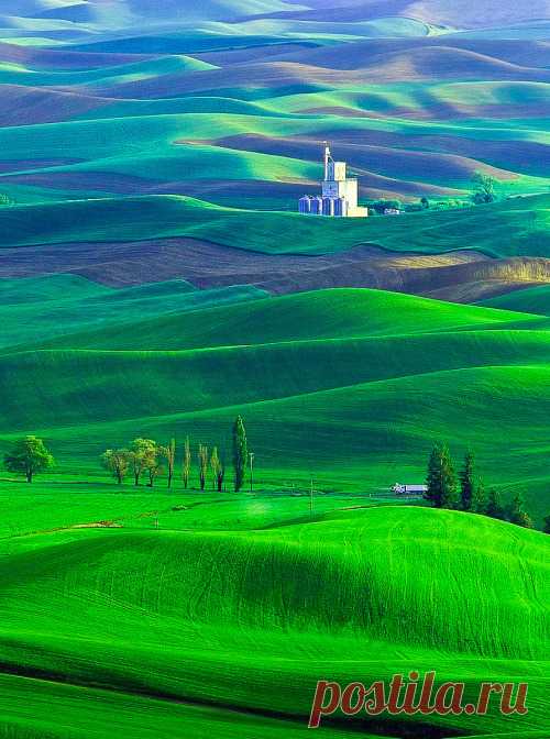 colour my world