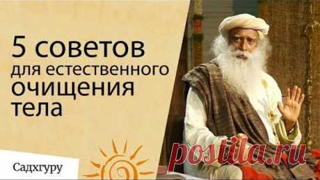 5 простых советов для естественного очищения тела — Садхгуру