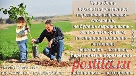 Фото пользователя Владимир, Санкт-Петербург, 51 год