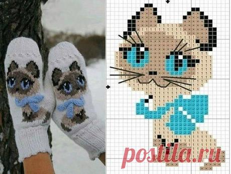 (1) Мой Мир@Mail.Ru