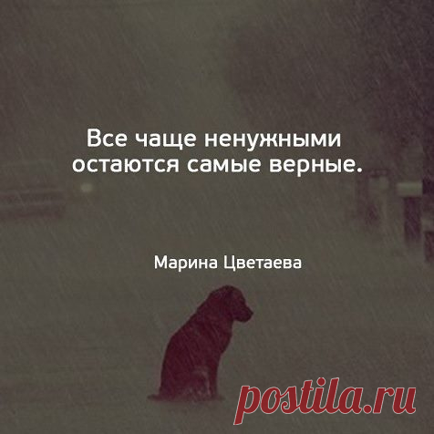 Прощение - это аромат, который фиалка дарит тому, кто ее растоптал.
Марк Твен