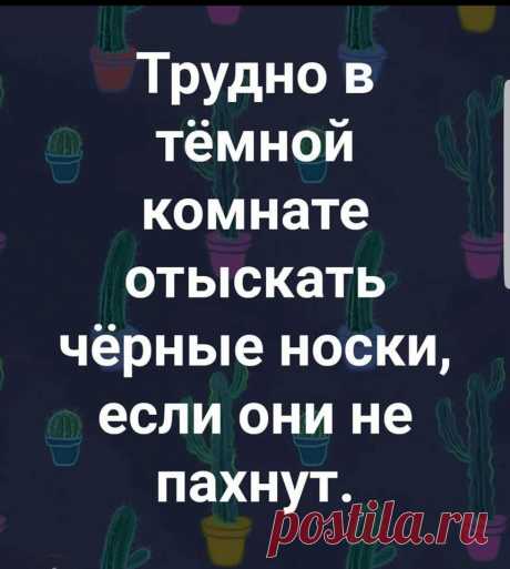 В магазине девушка ищет подарок для своего жениха. Продавщица, стараясь помочь, спрашивает: - А чем занимается ваш друг? - Он писатель. - Тогда подарите ему эту корзину для мусора... - Выпуск №2004 — Вокруг смеха - анекдоты