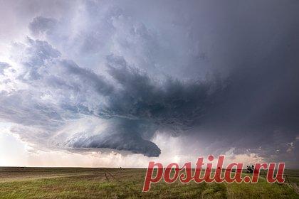 В Новокузнецке ввели режим ЧС из-за последствий урагана. В Новокузнецке ввели режим ЧС из-за последствий урагана с 8:00 19 ноября. Об этом объявил мэр города Кузнецов в своем Telegram-канале. Он отметил, что аварийная служба работает по устранению аварий на высоковольтных сетях, а высотные работы на сетях будут проводиться только при снижении скорости ветра ниже 10 м/с.