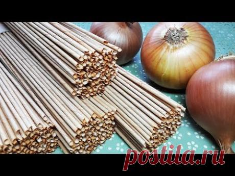 Крашу трубочки луковой шелухой / Эксперимент
