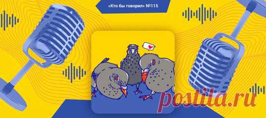 Лёша, Катя и Миша — об одной «интересной» инициативе в сфере общественного транспорта, самочувствии домашних животных и игромании.
