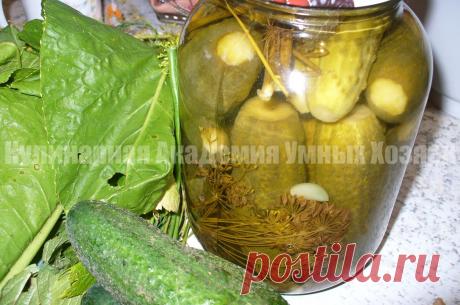 Огурцы маринованные без стерилизации ~ Кулинарная Академия Умных Хозяек