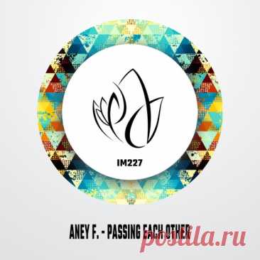 Aney F. – Passing Each Other [IM227]