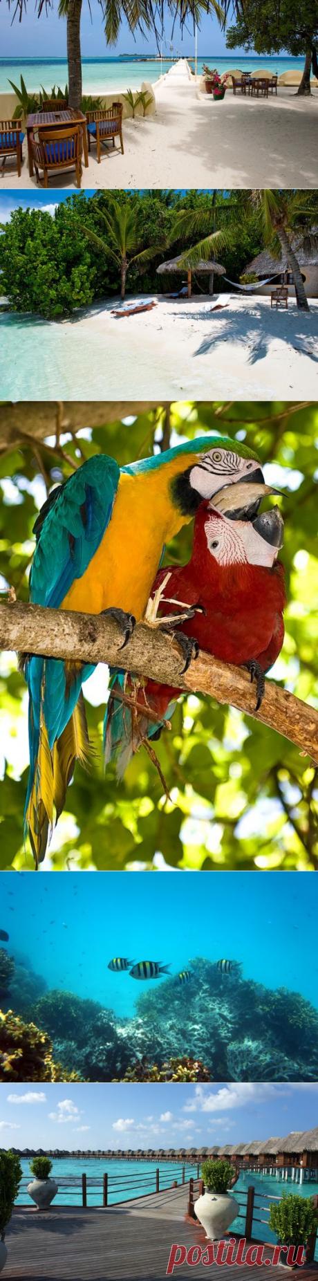 Мальдивы...!