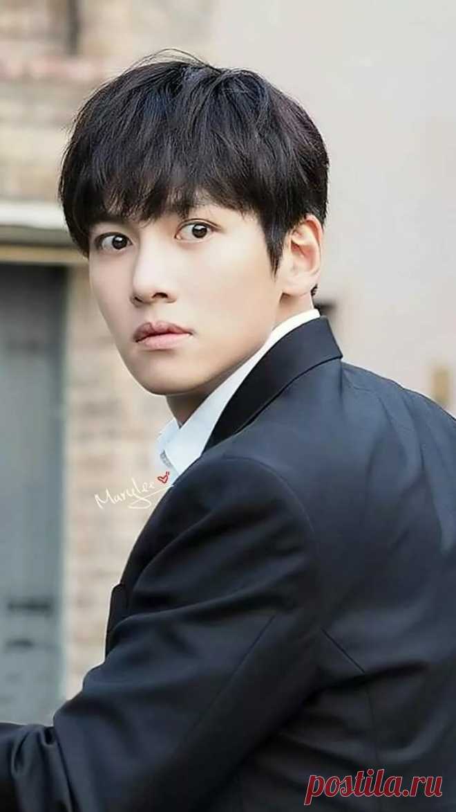 Pin by uzma nishat on Ji chang wook Pinterest Актер and Муж в Яндекс.Коллекциях