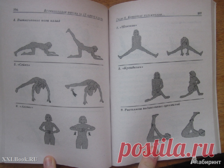 бодифлекс для живота описание упражнений: 18 тыс изображений найдено в Яндекс.Картинках