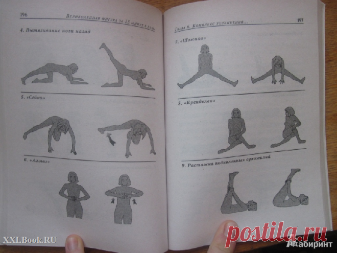 бодифлекс для живота описание упражнений: 18 тыс изображений найдено в Яндекс.Картинках