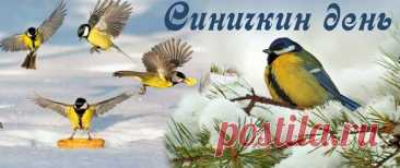 Пусть этот день принесёт вам лёгкость, как у синицы в полёте, и тепло, как в солнечном лучике. Улыбнитесь миру — и он улыбнётся вам в ответ!
Открытки на Синичкин день