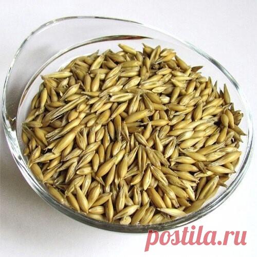 ОЧИЩАЕМ ПЕЧЕНЬ, ЖЕЛЧНЫЕ ПУТИ, СОСУДЫ, ВОССТАНАВЛИВАЕМ СОН, УЛУЧШАЕМ ОБЩЕЕ СОСТОЯНИЕ 
 
Древние проверенные рецепты. 
 
1. Овес неочищенный 1 ст. ложку залить на ночь 0,5 л воды (желательно фильтрованной). Если у вас есть склонность к повышенному артериальному давлению - добавить 1 ст. ложку перловой крупы. 
 
Утром в той же воде прокипятить 2 минуты на большом огне без крышки, затем потомить на малом огне 5 минут под крышкой, настоять 10 минут на столе под полотенцем. Проц...