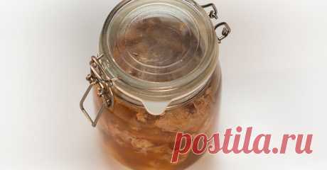 Как вкусно приготовить тушенку из свинины - рецепт с фото