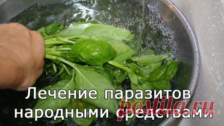 Эффективные_народные_средства_от_глистов Бороться с такой неприятностью можно с помощью лекарственных препаратов. Но многих пугают длинные списки противопоказаний и побочных эффектов. Потому выбор останавливается на народных средствах. О них и поговорим подробнее.

Очищаем организм Народная Медицина — рецепты для лечения, cекреты и народные средства.