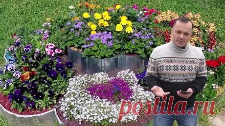 Что нужно посеять в феврале? Проверенный список!