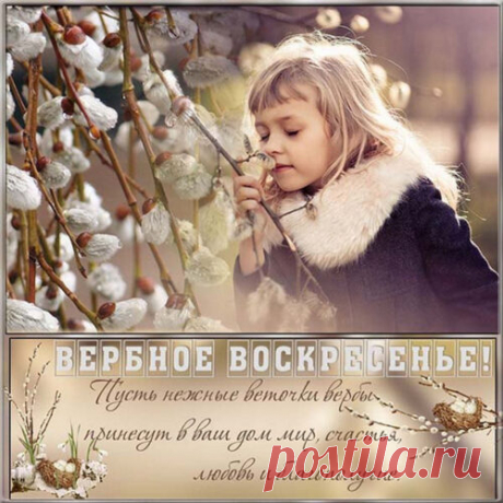 Открытка - Мира, счастья, любви. С Вербным Воскресеньем!