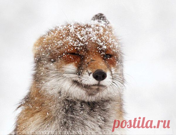 Мой Мир@Mail.Ru