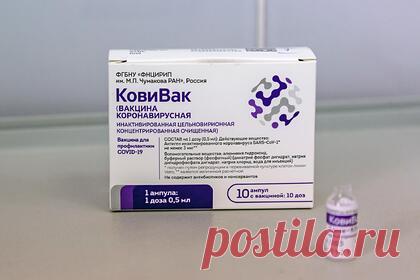 Российские ученые объяснили популярность вакцины «КовиВак». Ученые назвали консерватизм причиной популярности вакцины от коронавируса «КовиВак» у россиян. Профессор вирусологии Александр Чепурнов объяснил, что вакцинация «КовиВаком» переносится легче, чем «Спутником V», однако последний обеспечивает более высокий уровень защиты из-за повышенной выработки антител к коронавирусу.