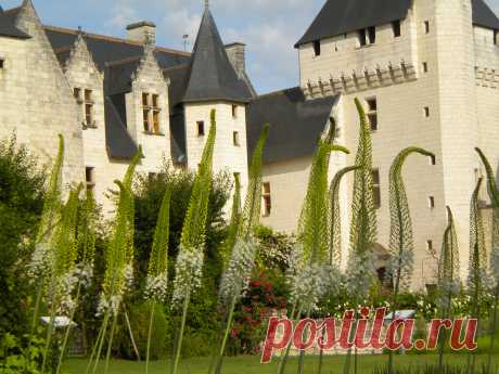 Замки Франции:Риво(Château du Rivau).