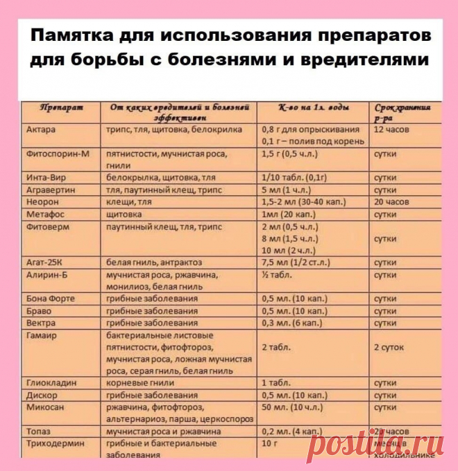 Новости