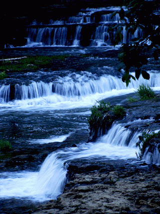 Живые фотографии – Живые картинки – Сообщество – Google+