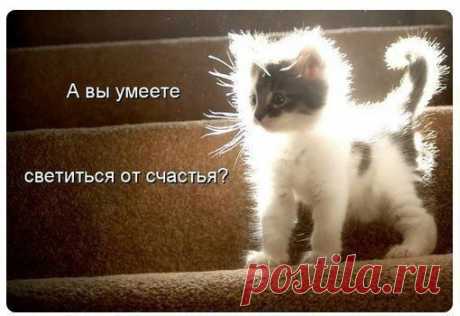 ПОЗИТИВ ツ