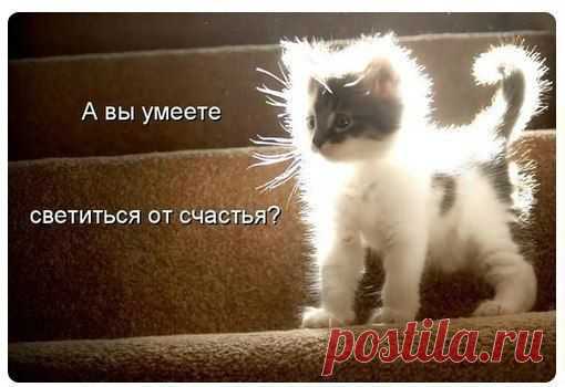 ПОЗИТИВ ツ