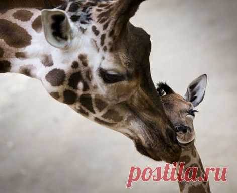 Трудности и подводные камни ремонта: 8 советов на основе личного опыта — Рамблер-Новости