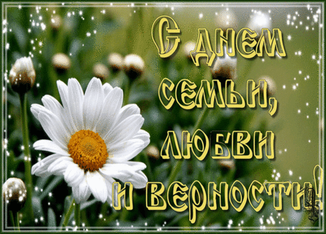 Любви Вам, взаимопонимания,
Семье, желаю, процветания,
Уют, нежности, душевного тепла,
Чтоб жизнь счастливою была!