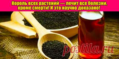 Король всех растений — лечит все болезни, кроме смерти! И это научно доказано! | Полезные советы