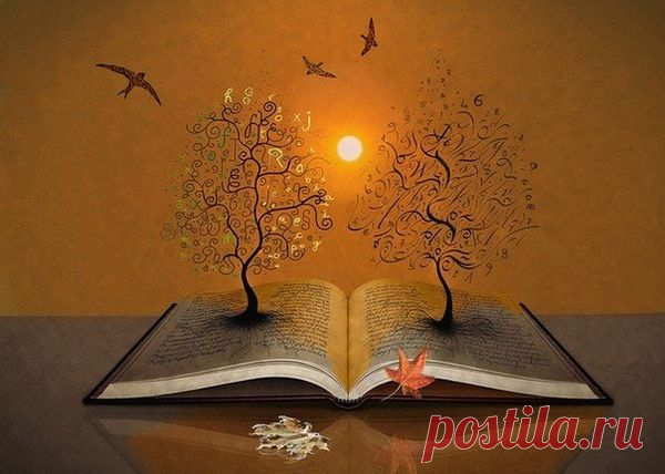Душа как книга… - Стихи - Для души - Статьи - Школа радости