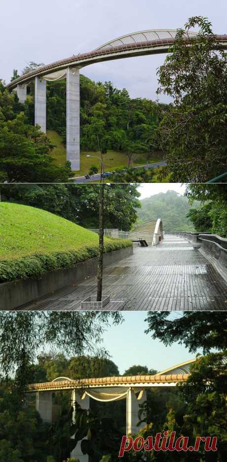 Красивейший мост &quot;Волны Хендерсона&quot; (Henderson Waves Bridge), Сингапур - Туристический портал - Мир красив!