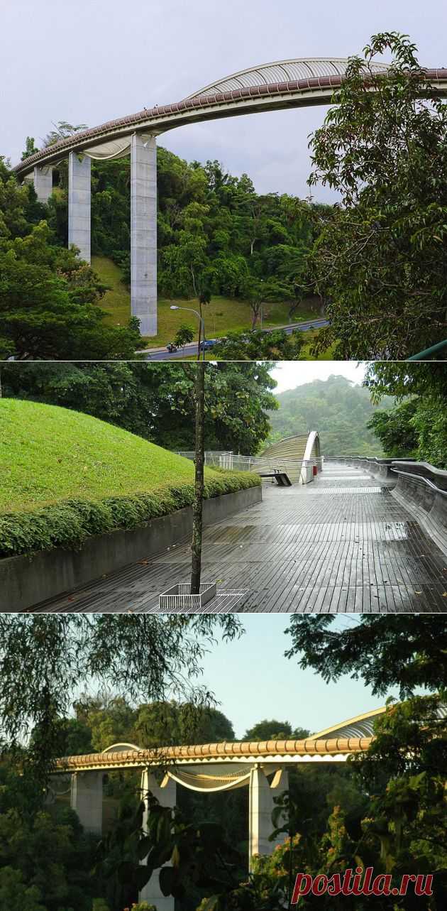 Красивейший мост "Волны Хендерсона" (Henderson Waves Bridge), Сингапур - Туристический портал - Мир красив!