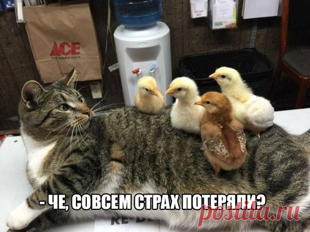 Евгений Неизвестный - 19 лет на Мой Мир@Mail.ru