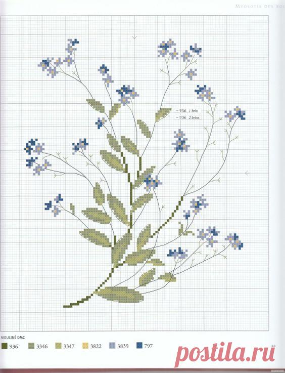 f2d485cd4b4d7e895446bd505a33b6cb.jpg (564×737)